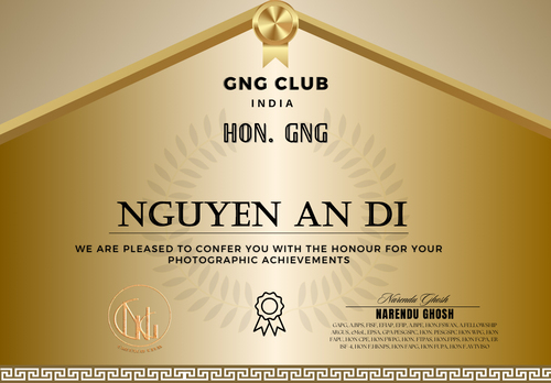 Nhiếp ảnh gia Nguyễn An Di AWARDS 02